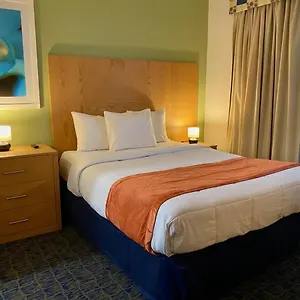 Ficus Hotel San Juan